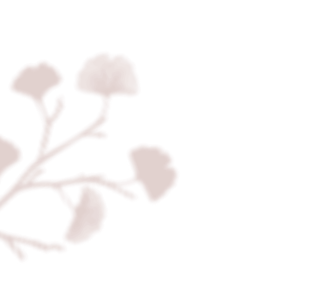 https://mirkadusan.sk/wp-content/uploads/2020/12/floating_image_01.png