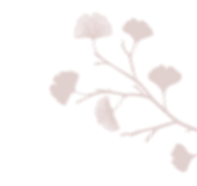 https://mirkadusan.sk/wp-content/uploads/2020/12/floating_image_02.png