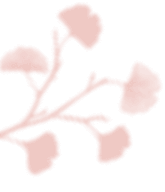 https://mirkadusan.sk/wp-content/uploads/2020/12/floating_image_03.png