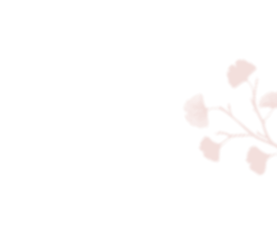 https://mirkadusan.sk/wp-content/uploads/2020/12/shadow_leaves_05.png