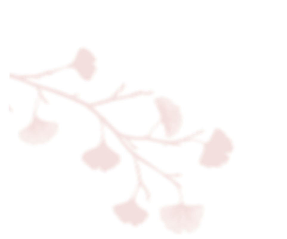 https://mirkadusan.sk/wp-content/uploads/2020/12/shadow_leaves_06.png