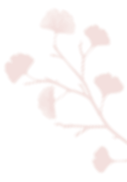 https://mirkadusan.sk/wp-content/uploads/2020/12/shadow_leaves_07.png